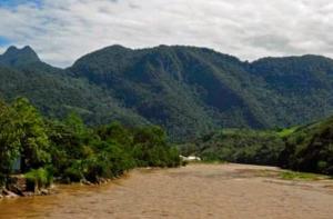 Parque Nacional Tingo María